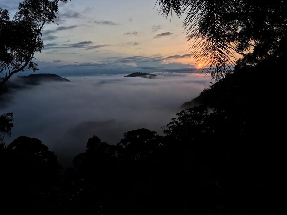 Mountain view