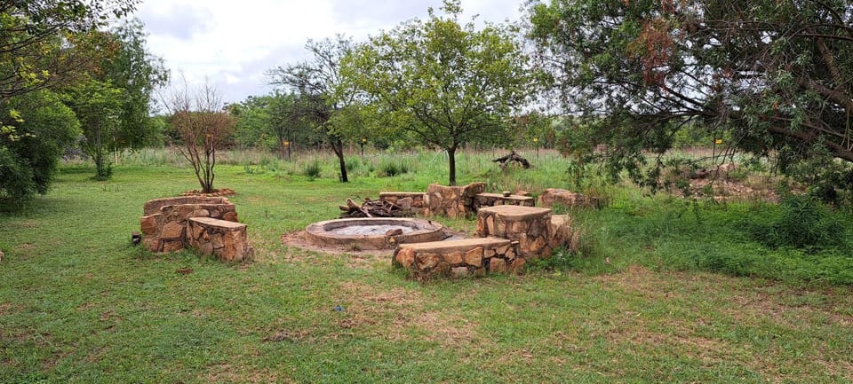 Natural landscape, Garden, Garden, Evening entertainment, Garden view, fireplace