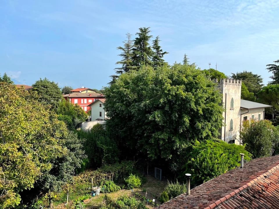 Property building, Garden view