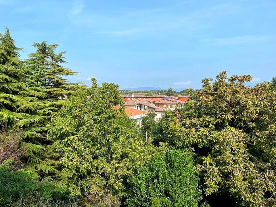 Natural landscape, Bird's eye view, View (from property/room), Garden view