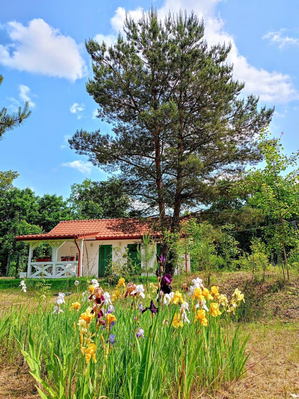 Siedlisko Panorama na Koncu Swiata - Całoroczny domek House in Poland