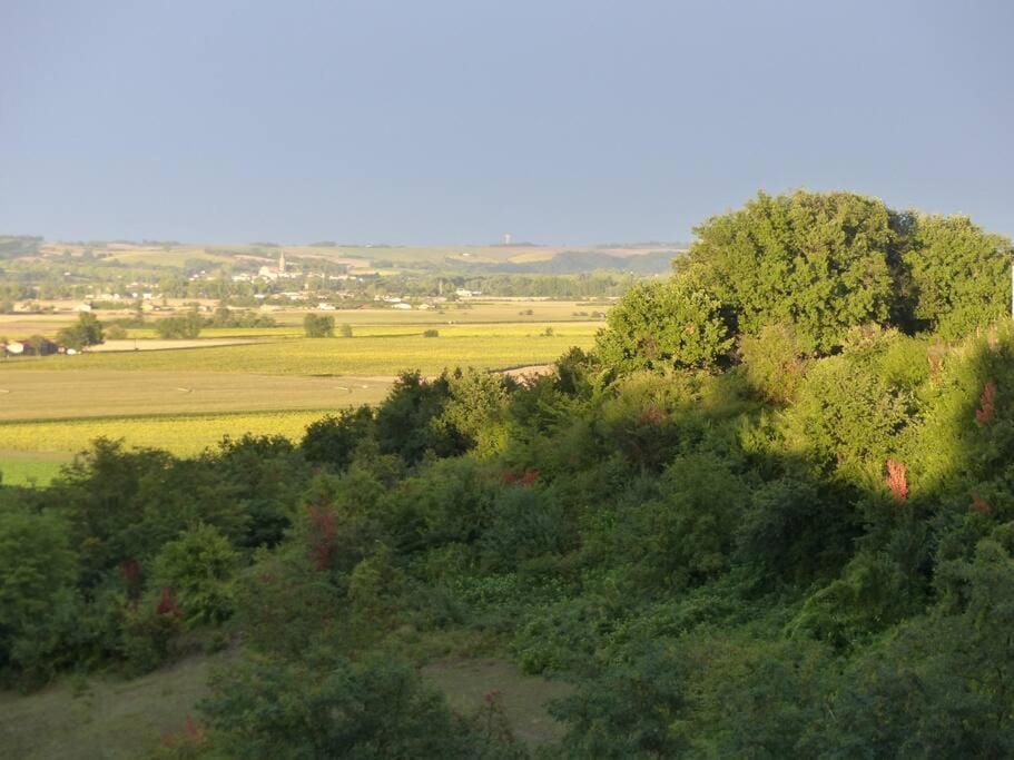 Gite Chez Rosalie House in Occitanie