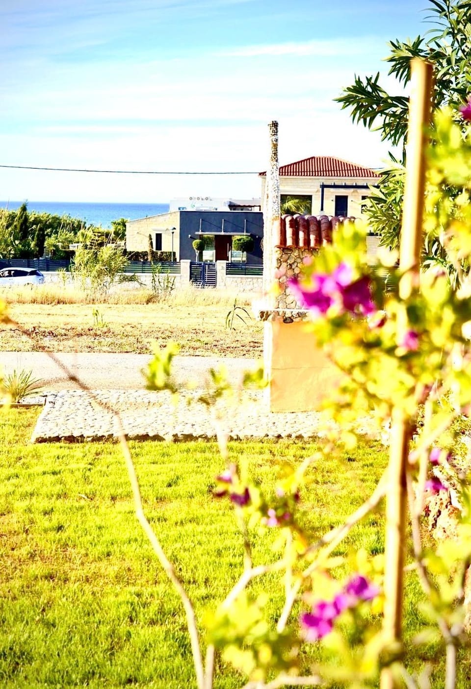 Garden view