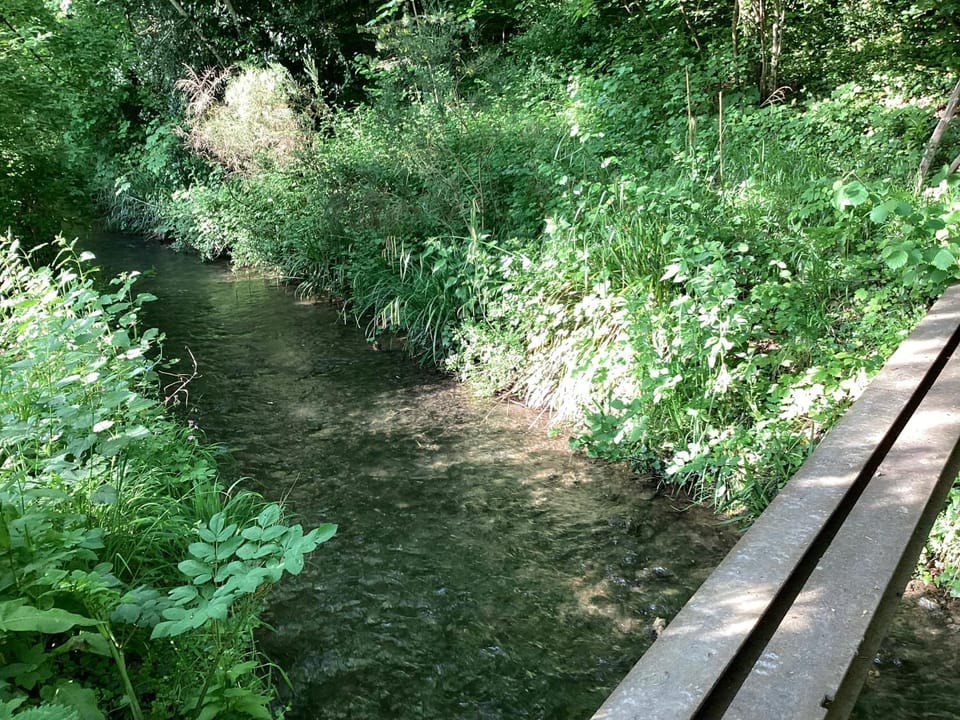 River view