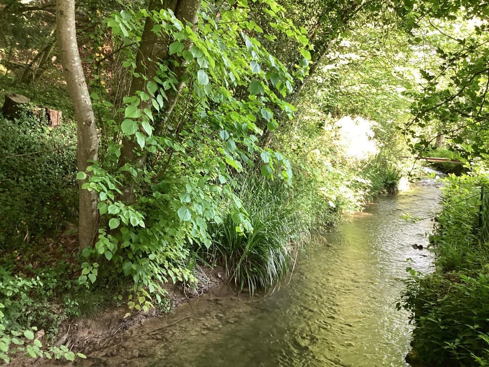 River view
