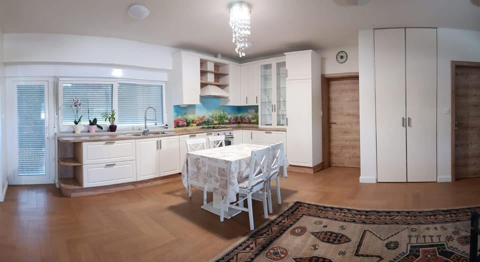 Kitchen or kitchenette, Dining area, dishwasher, oven, stove