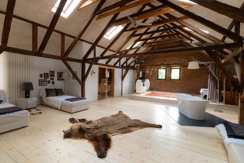 Sauna, TV and multimedia, Seating area, Bedroom, Bath