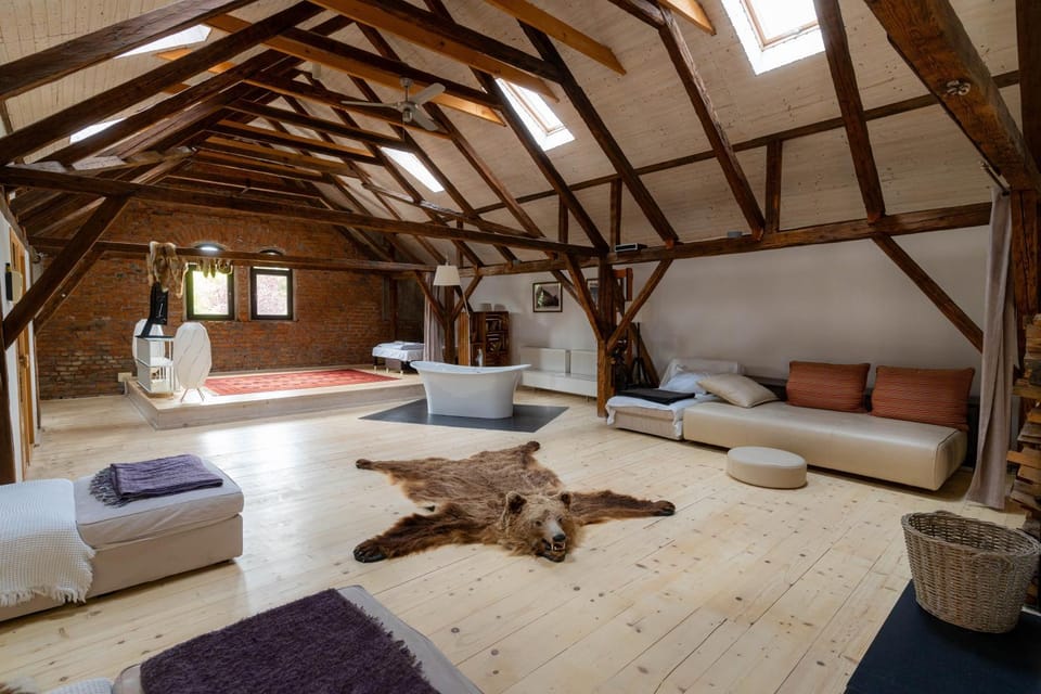 Bed, Living room, Photo of the whole room, Seating area, Bedroom, Bath