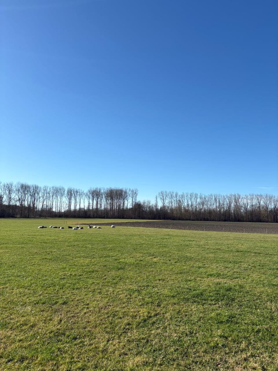 De Derrienk 4B met vrij uitzicht! Apartment in Koudekerke