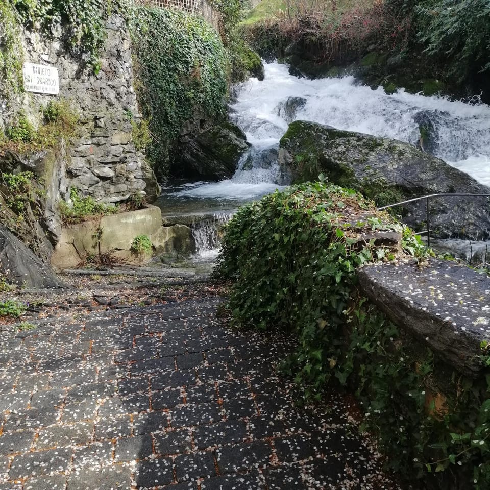 River view