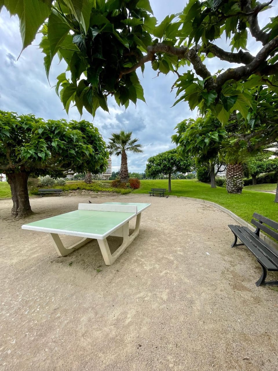 Property building, Garden, Table tennis