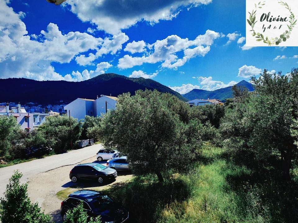 Spring, Day, Neighbourhood, Natural landscape, Mountain view, Parking