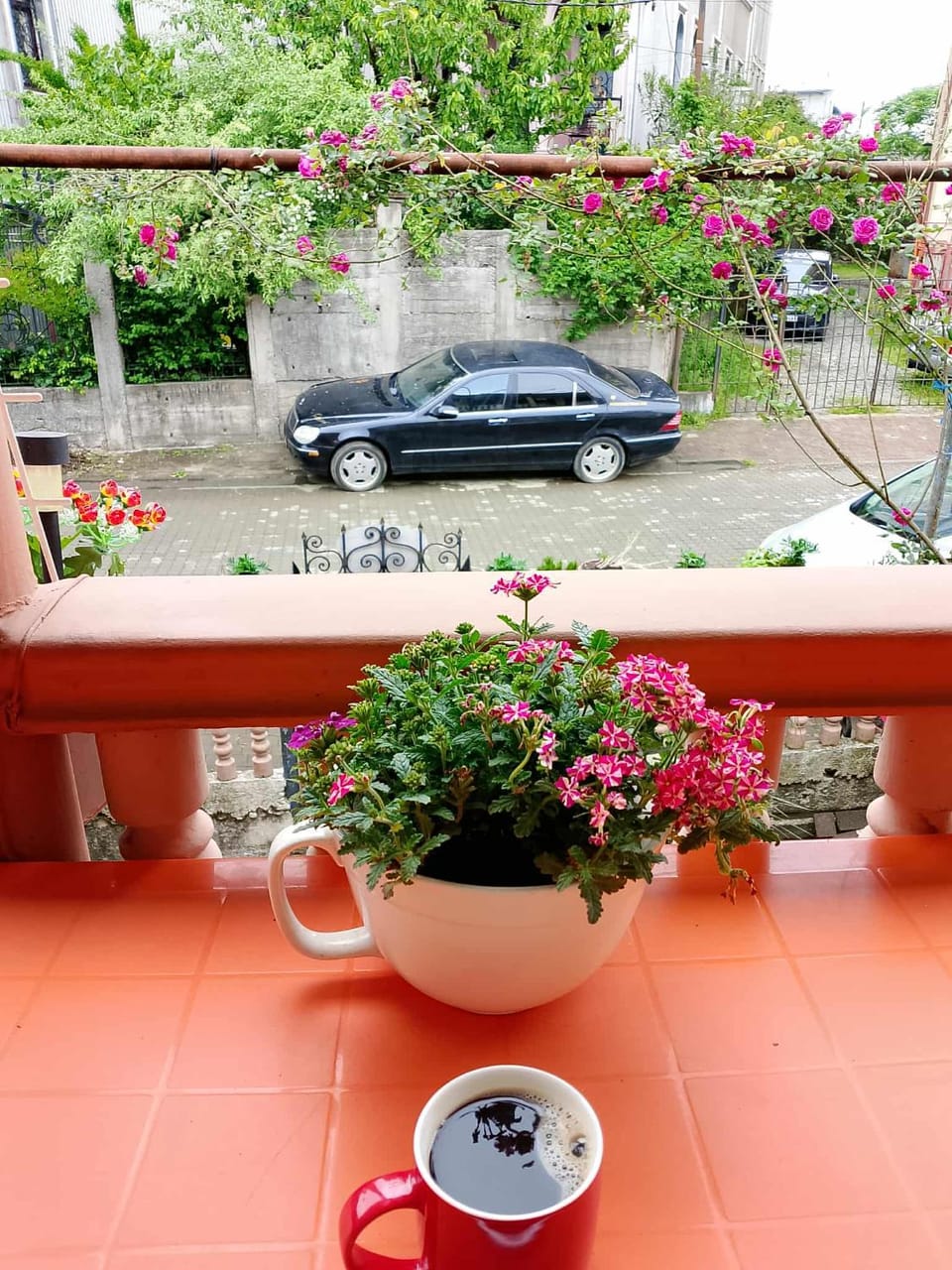 dom v kobuleti Bed and Breakfast in Adjara, Georgia