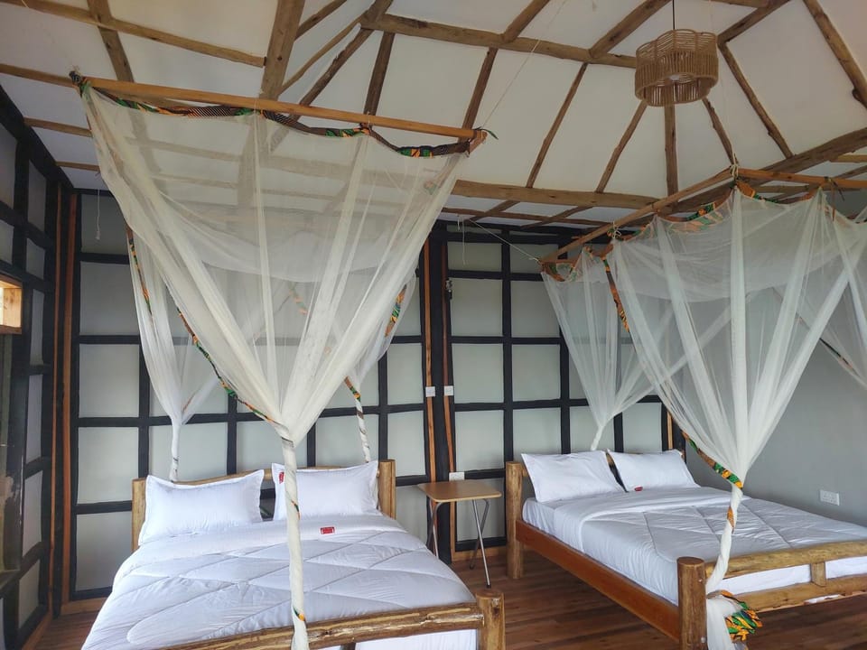 Bed, Photo of the whole room, Bedroom