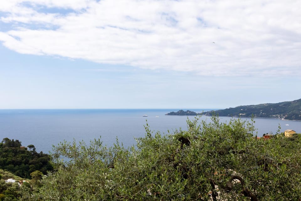 Natural landscape, Sea view