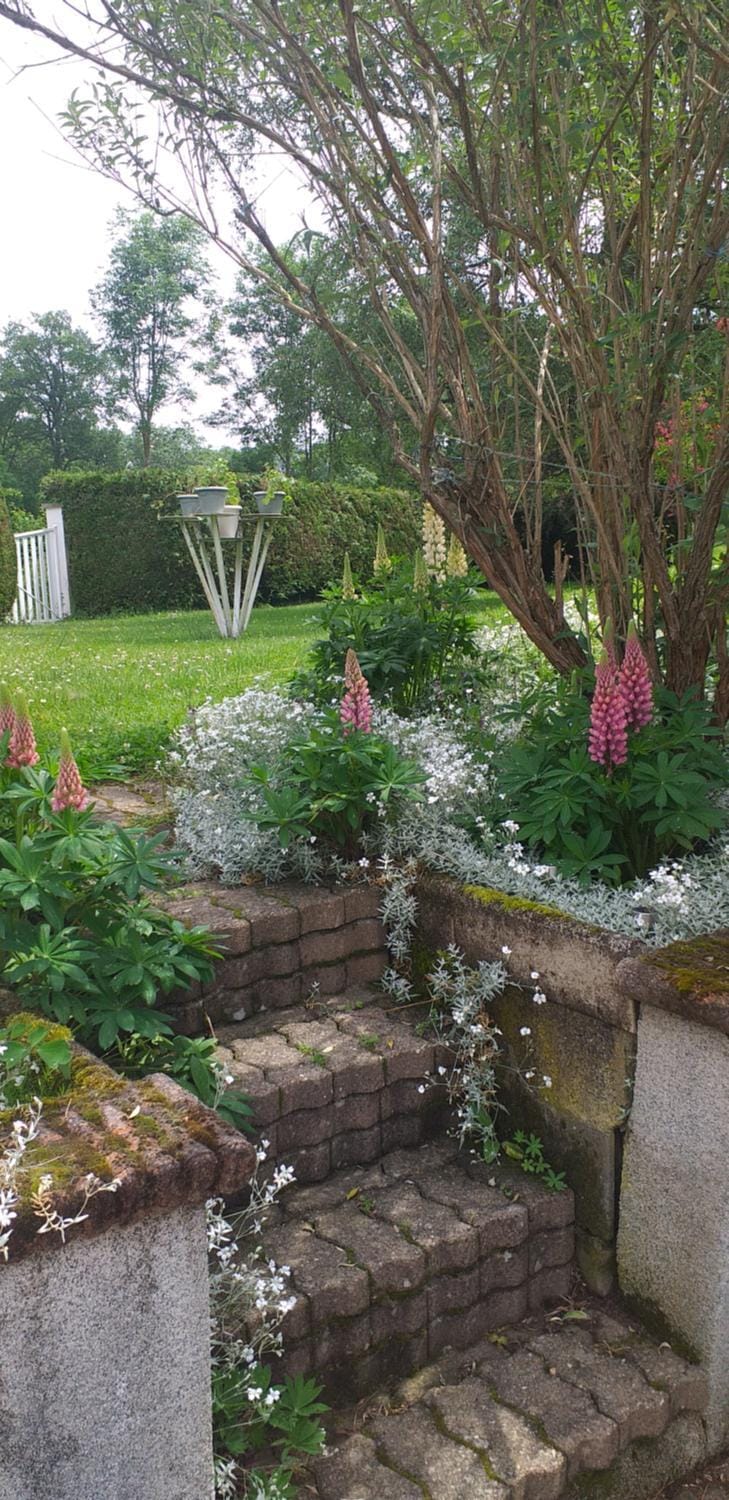 Gite Les Volcanes House in Auvergne-Rhône-Alpes
