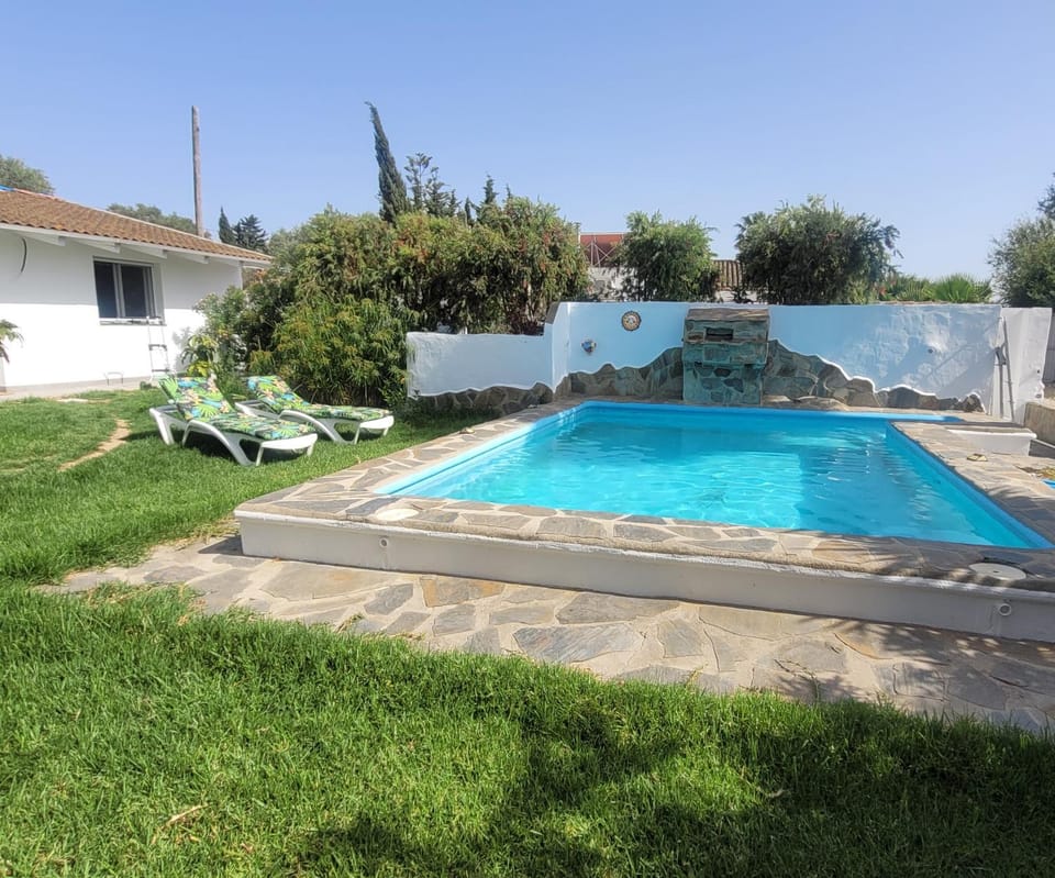 Garden, Garden view, Pool view, Swimming pool, sunbed