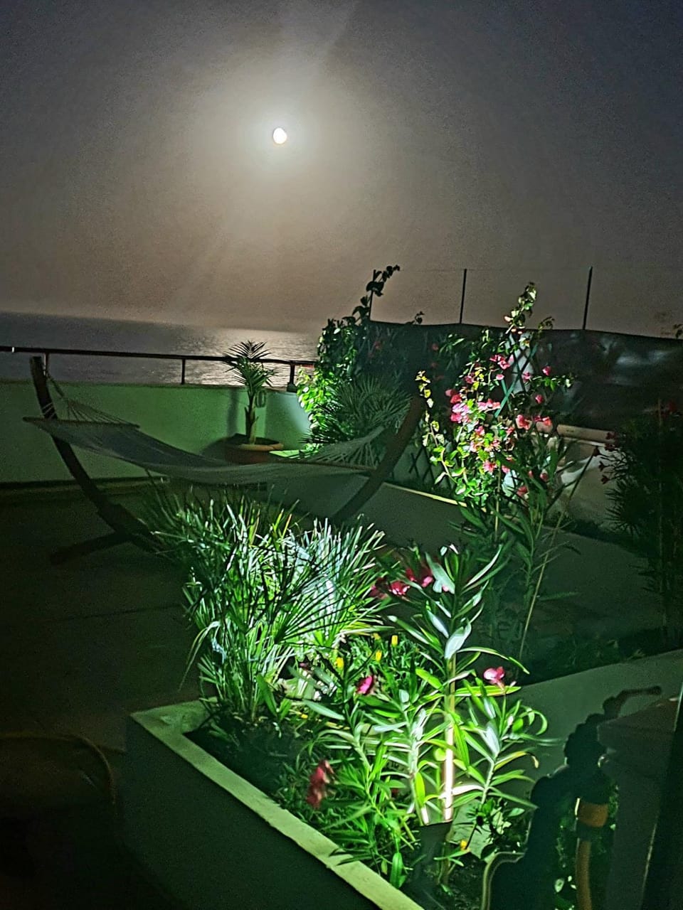 Night, Garden, Balcony/Terrace, Sea view