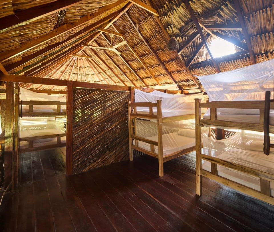 Bed, Photo of the whole room, Bedroom, bunk bed