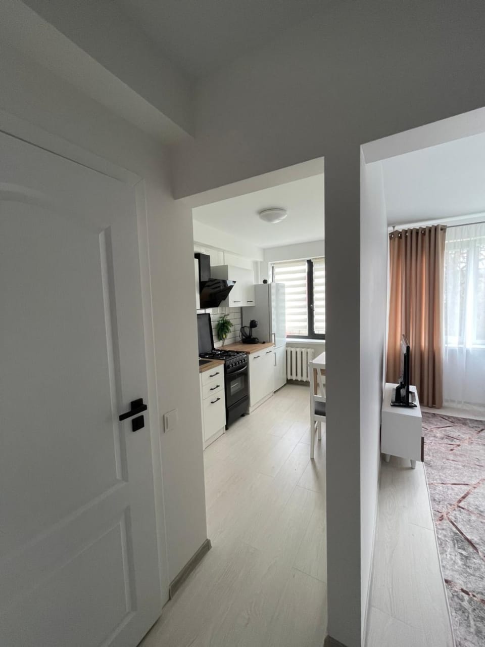 Radvilų apartamentai Apartment in Lithuania