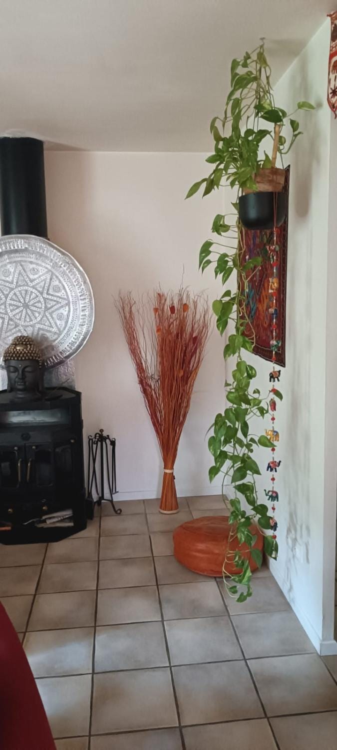 Living room, fireplace