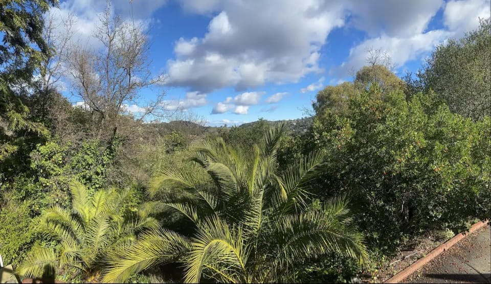 serene Mountainside Suite, Private entrance and bathroom Bed and Breakfast in San Anselmo