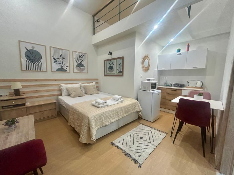 Κομψό Πέτρινο Διαμέρισμα για Ζευγάρια - Apt IV Apartment in Chania