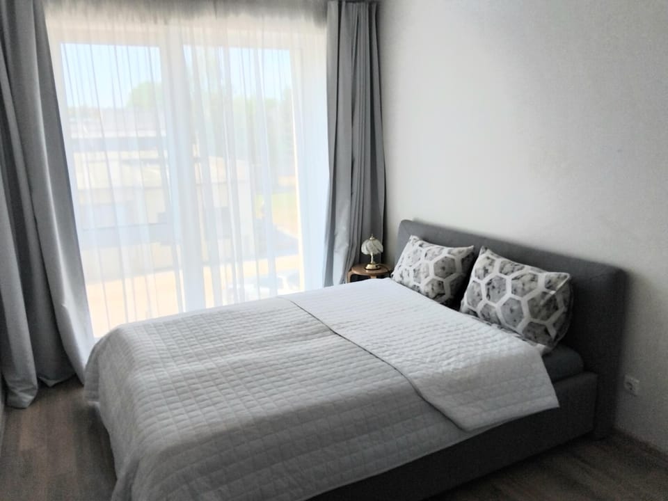 Vidmantės apartamentai Apartment in Palanga