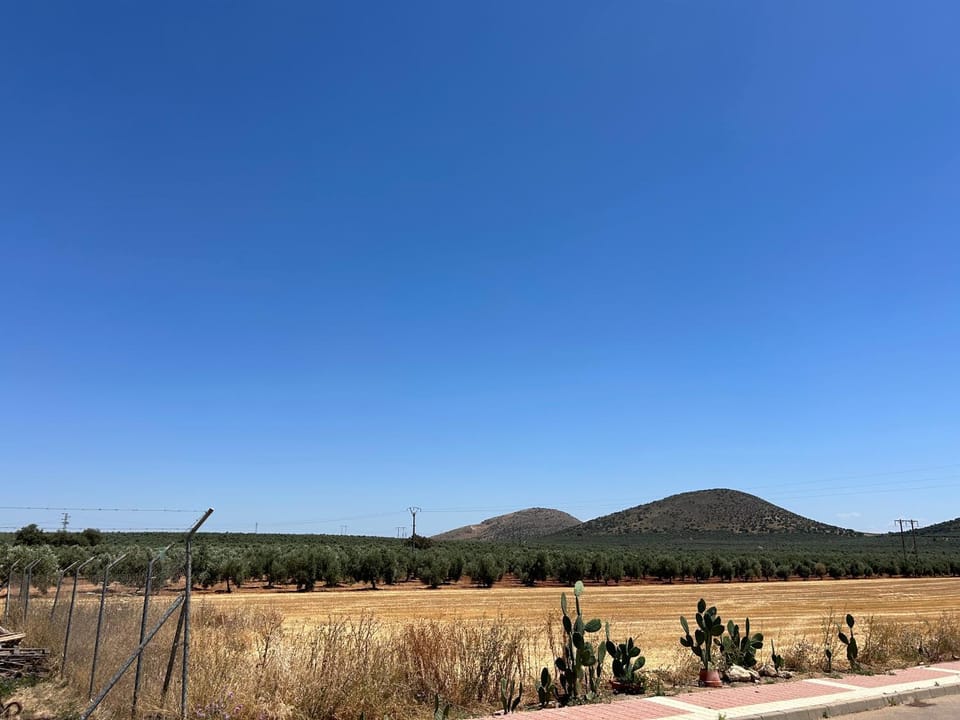 Nearby landmark