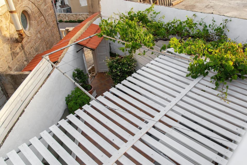Day, Garden view