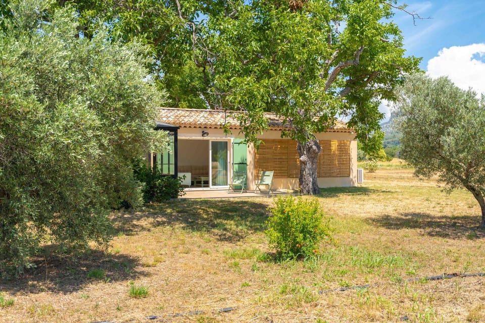 Natural landscape, Garden