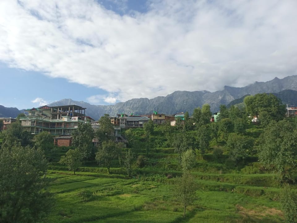 Mountain view