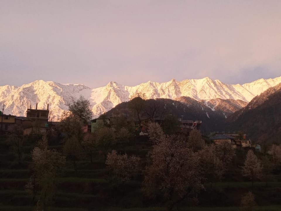 Mountain view