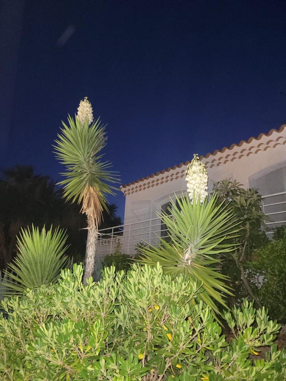 Property building, Night, Garden