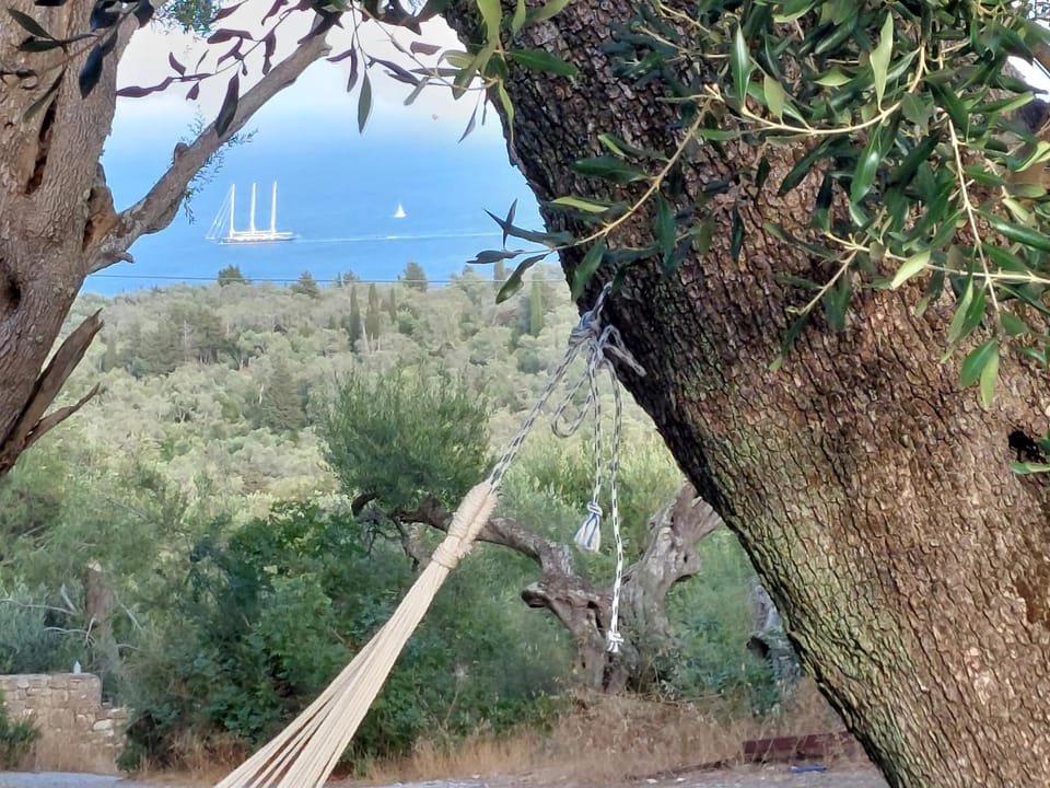 Garden, Sea view