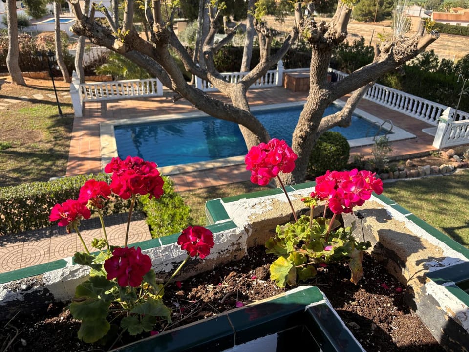Spring, Day, Garden, Garden view, Pool view, Swimming pool