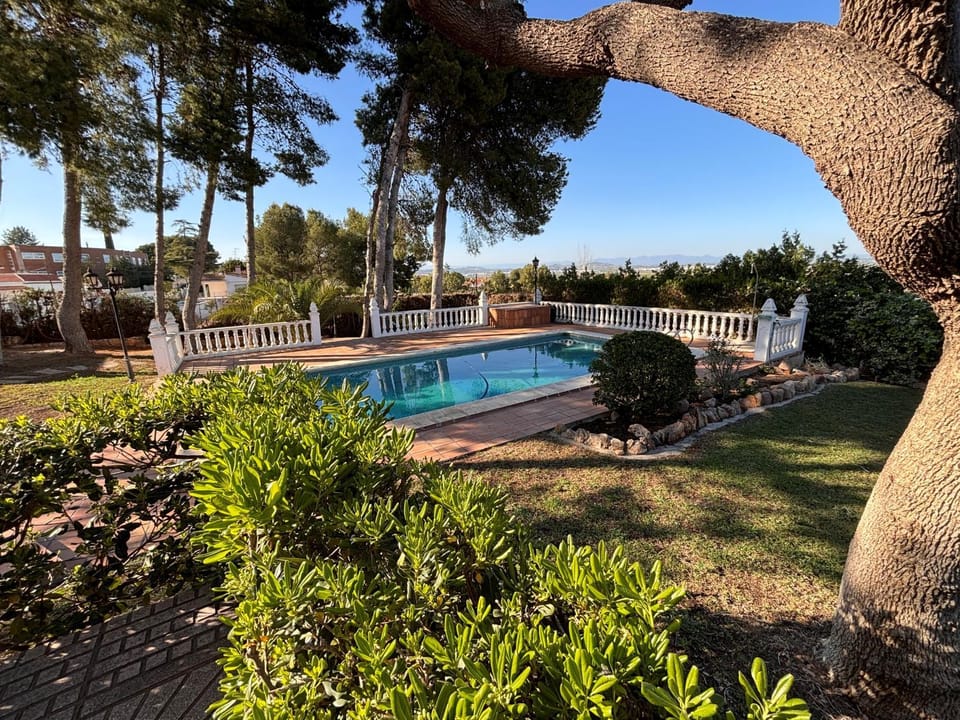 Spring, Day, Natural landscape, Garden, Garden view, Pool view, Swimming pool, sunbed