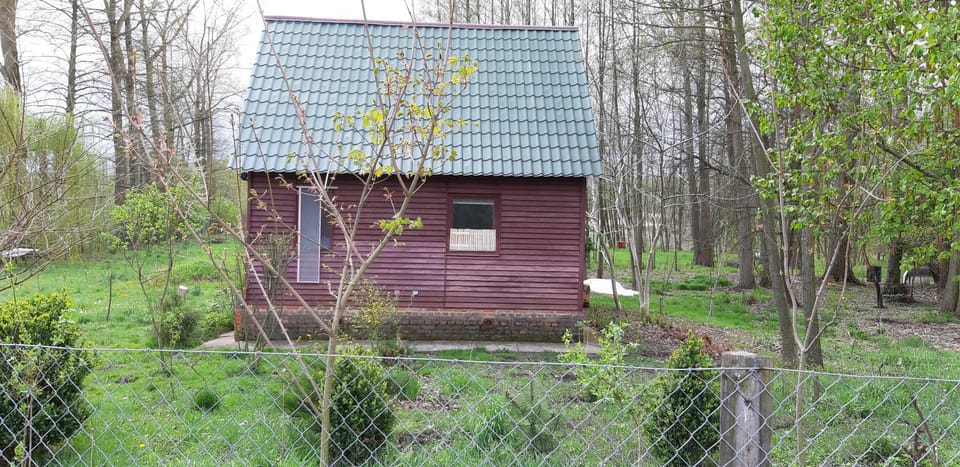 Property building, Garden view