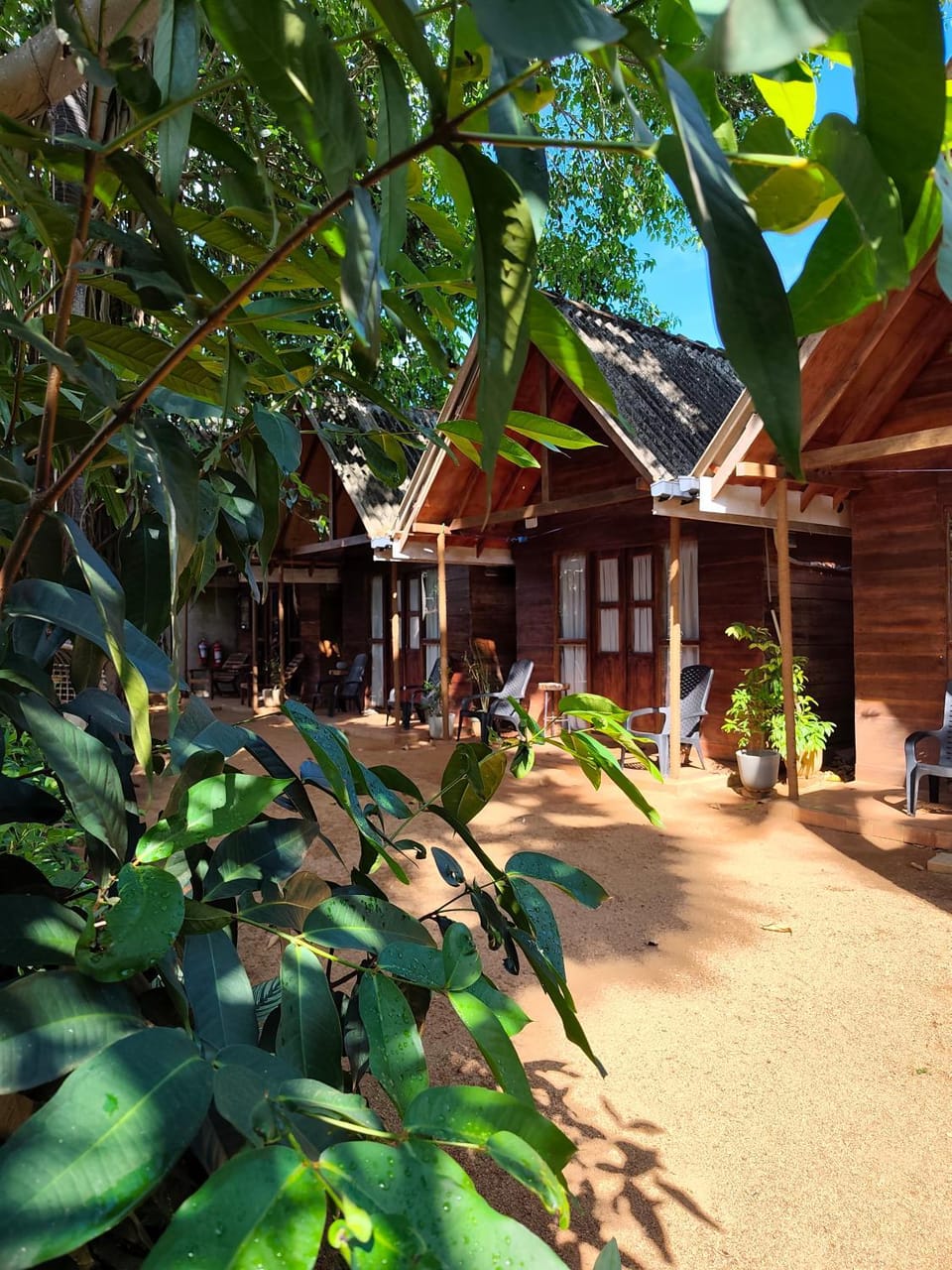 Cool Banyan Cabana Hotel in Sri Lanka