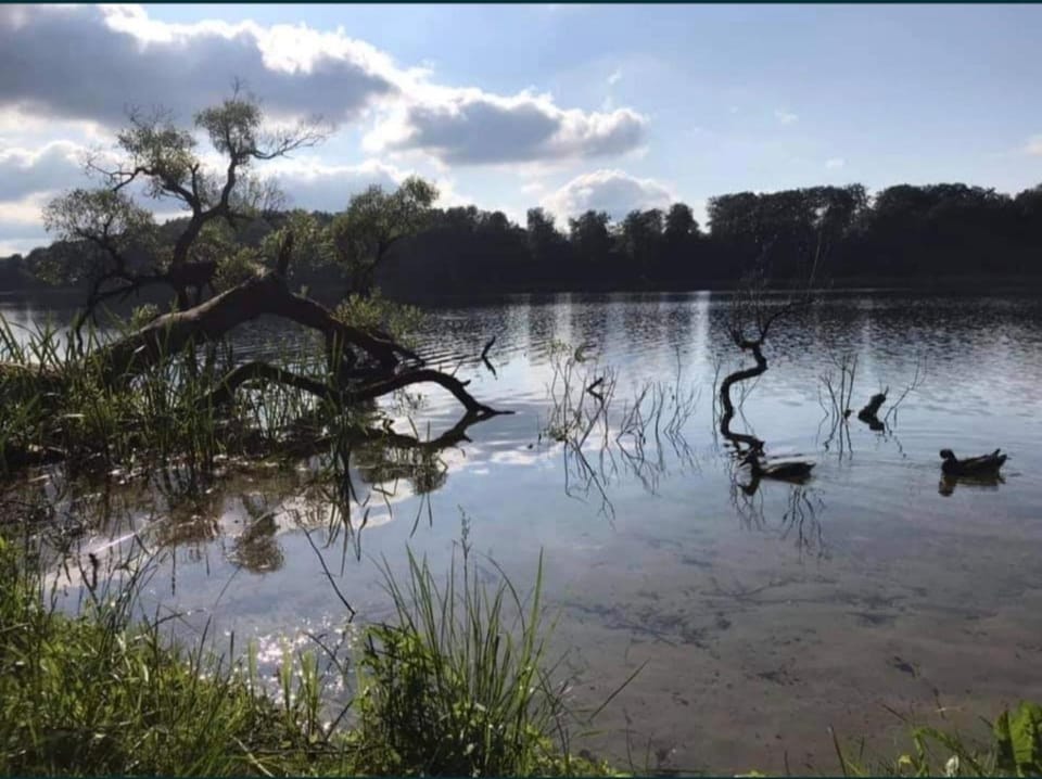 Natural landscape, Lake view