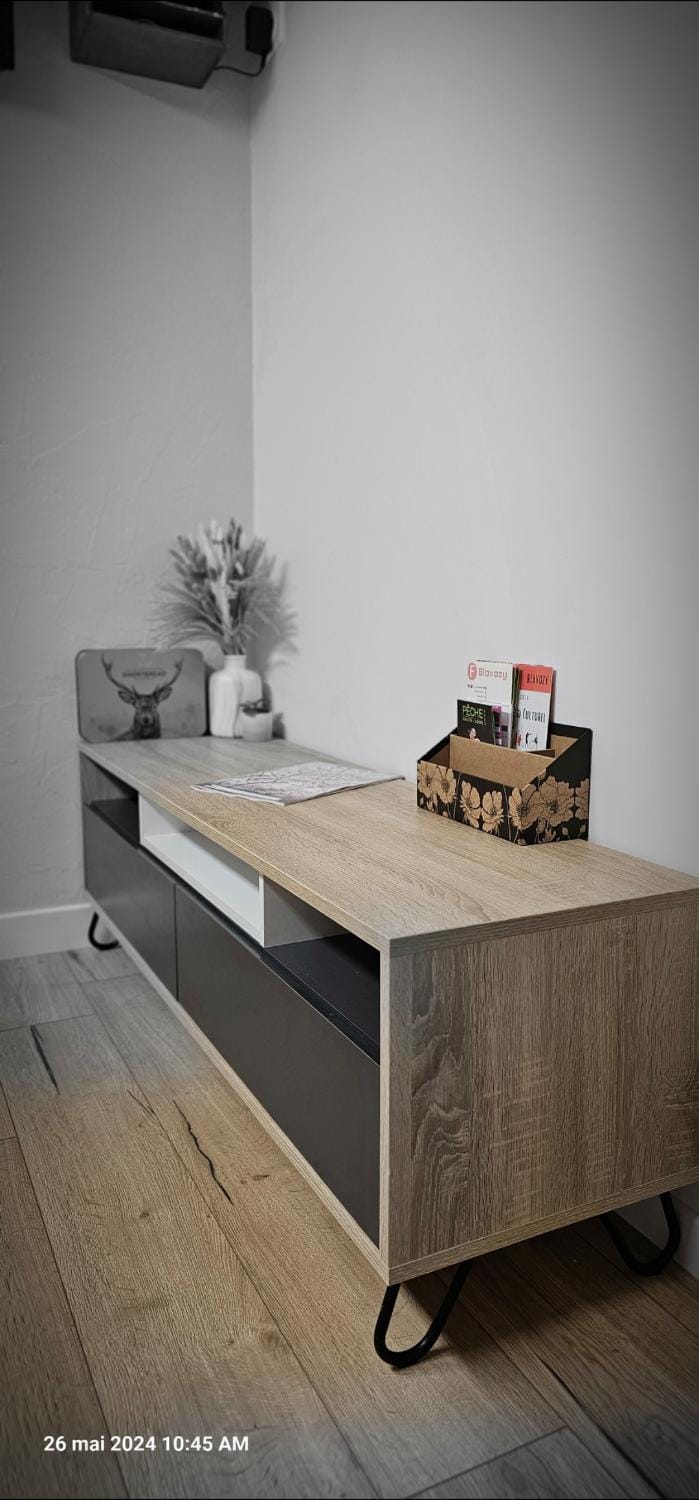 Le Petit Erable Apartment in Auvergne-Rhône-Alpes
