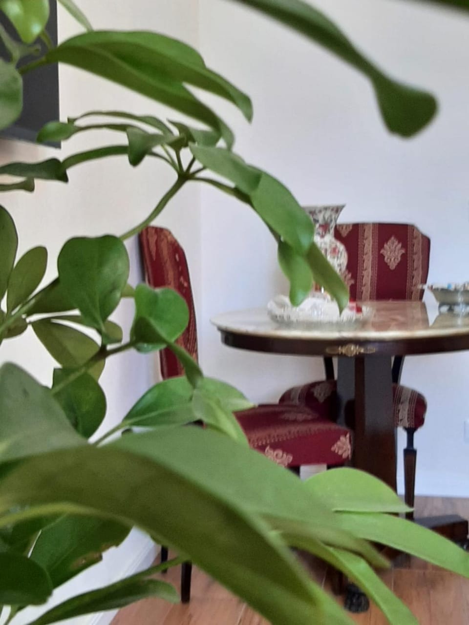 Aurora Center City - Rooms Bed and Breakfast in Palermo