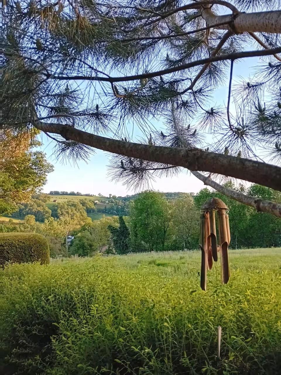 View (from property/room)