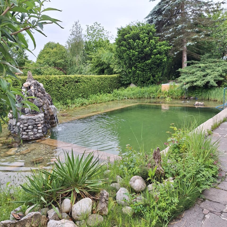 Swimming pool, Swimming pool