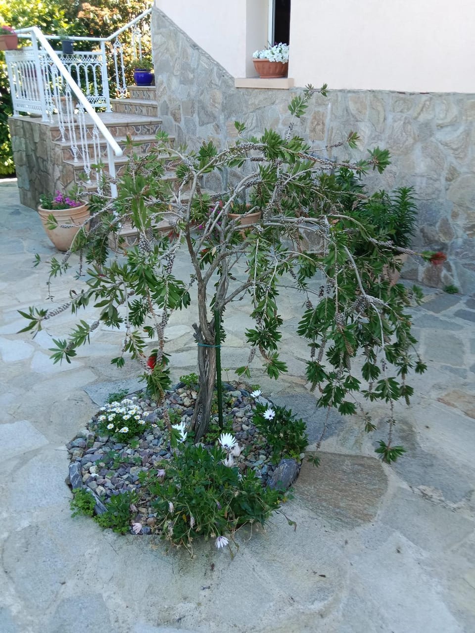 Les Espaces de Furiani Bed and Breakfast in Corsica