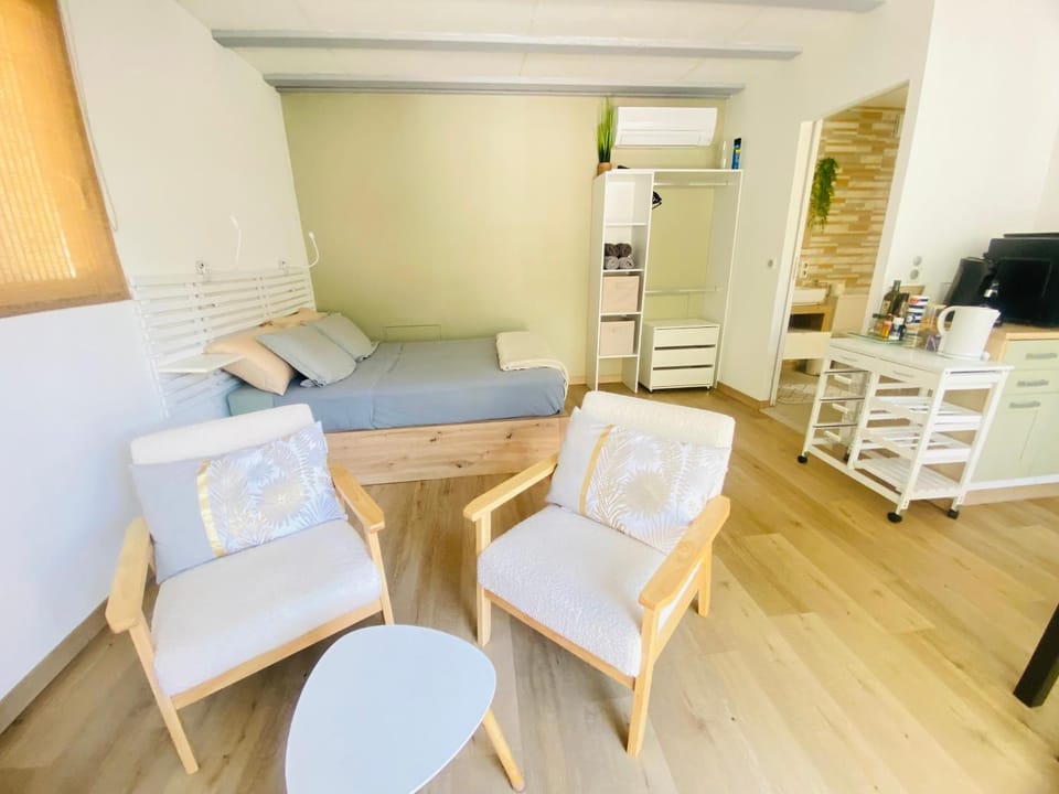 Studio Cosy, Rénové, Ecrin de calme & confort Apartment in Céret