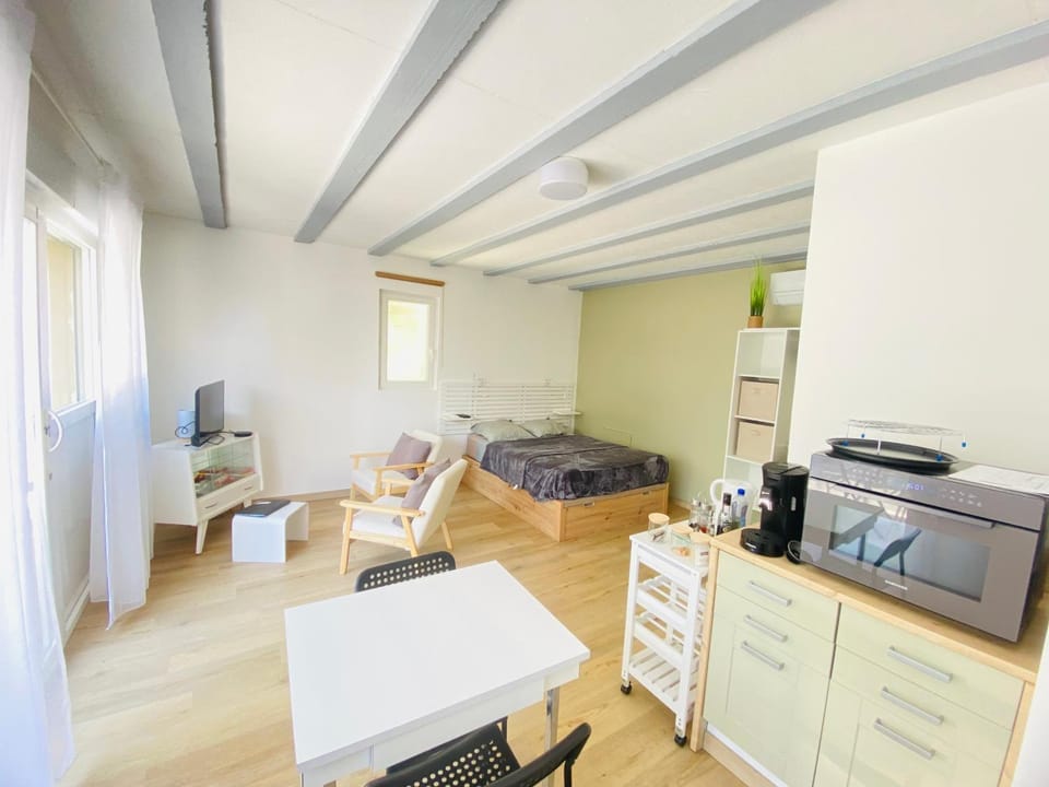 TV and multimedia, Kitchen or kitchenette, Photo of the whole room, Dining area, stove