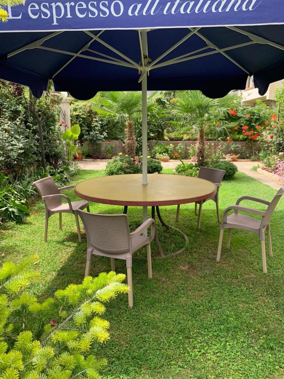 Garden