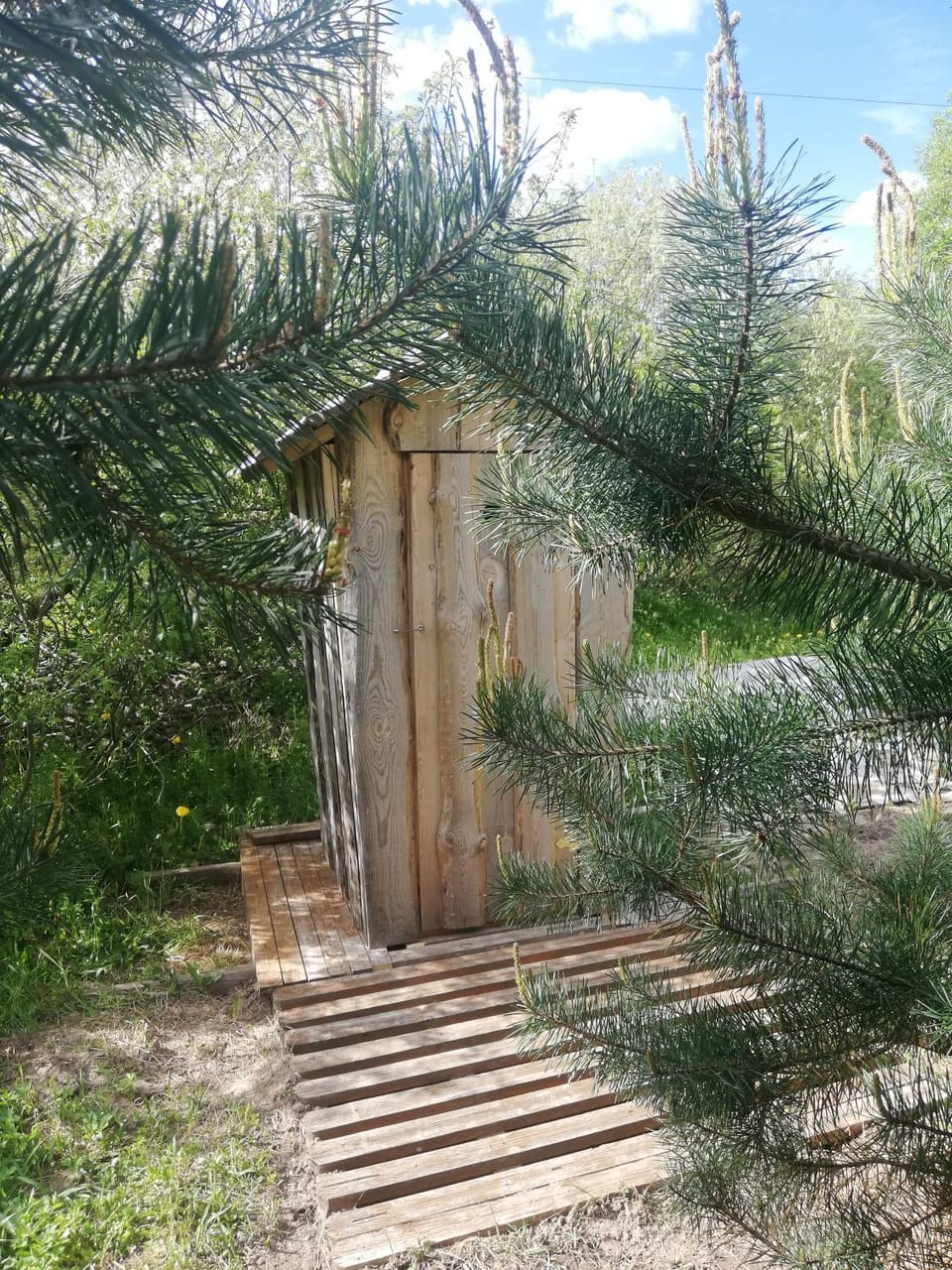 Toilet