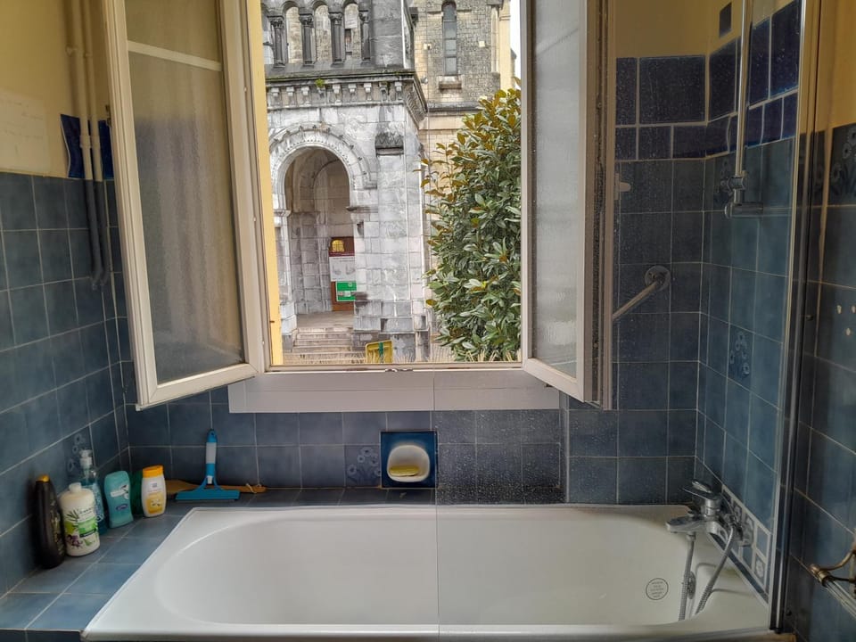 VUE DE REVE CHAMBRE dans APPARTEMENT DE STANDING - vous faites le ménage-Very good prices but you have to cle-an th-e flat Apartment in Lourdes